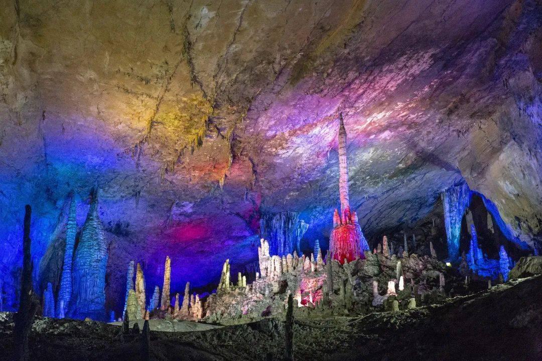 舒淇太洒脱了，直接展示素颜，皮肤状态一目了然，大方又真实！