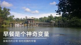 燃烧吧大脑免广告最新版