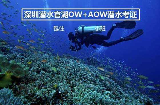 88影视