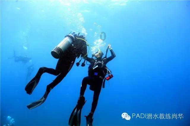 逃离拼图花园