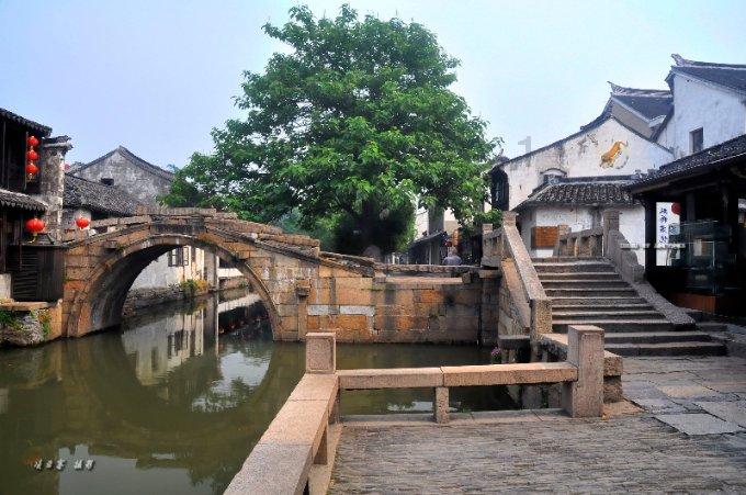 【动态】寒潮来袭!农技员田间“把脉”确保16余万亩粮油作物安全过冬