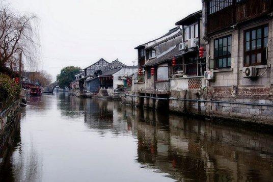 它被称为“天然钙库”,错过可惜了!孩子经常吃,益智健脑长大个